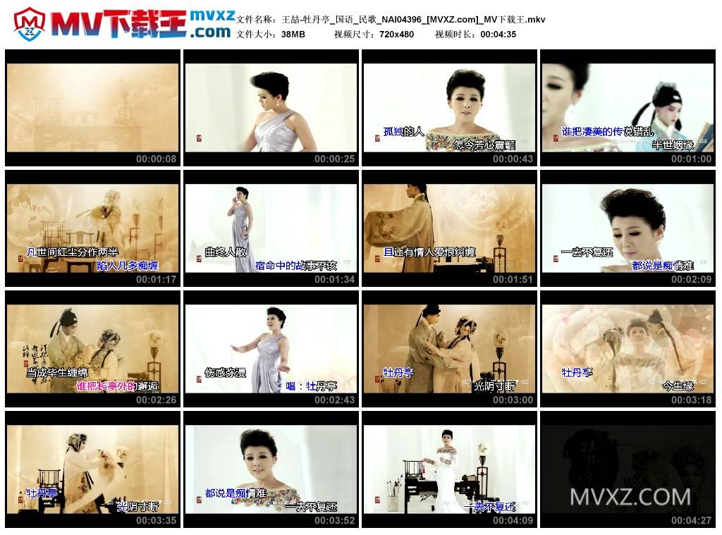 王喆-牡丹亭_国语_民歌_NAI04396